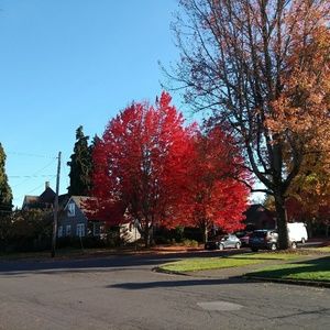 Meet your Posher, Colleen